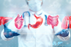 human-internal-organs-treatment-concept-doctor-shows-patient-s-organs-hologram-with-medical-indications-modern-medicine-healthcare-medical-insurance-1